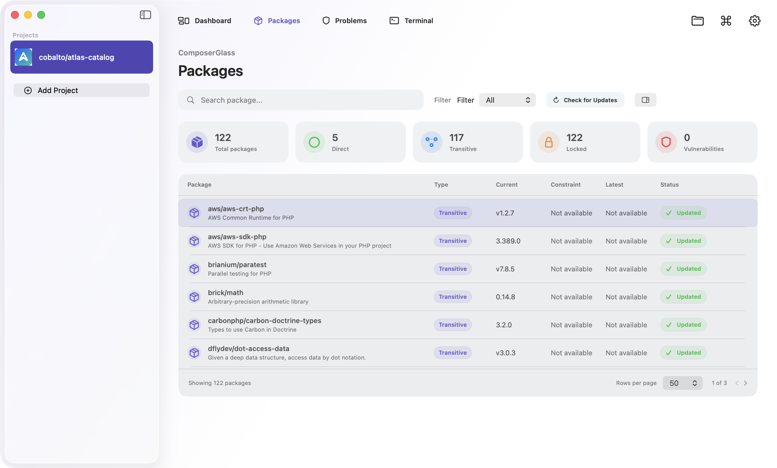 ComposerGlass Packages view with package types, versions, constraints, and status